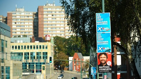 Kopf-an-Kopf-Rennen in Brandenburg: AfD und SPD fast gleichauf im neuesten ZDF-Politbarometer