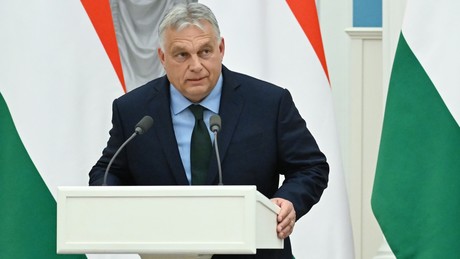 Orbán und Schröder fordern Umdenken im Ukraine-Konflikt