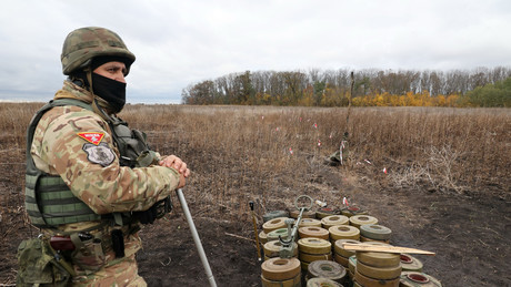 Deutschland kritisiert ukrainischen Einsatz von Antipersonen-Landminen