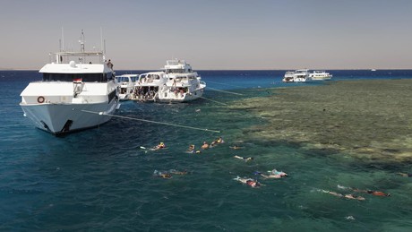 Rettungsaktion für Überlebende einer Yacht-Katastrophe im Roten Meer