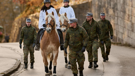 Bundeswehr im Wandel: General Gante fordert sofortige Kampfbereitschaft und Realismus in der Verteidigungsstrategie