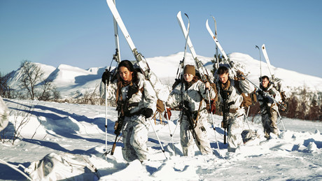 Norwegen, Schweden und Finnland tragen im März NATO-Übung "Cold Response" aus