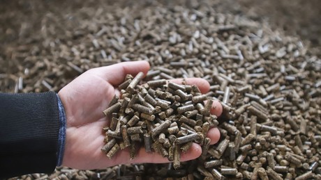 Polen friert: Frostwetter offenbart die bittere Rechnung für den Bruch mit Russland