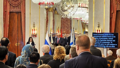 Russischer Botschafter warnt deutsche Söldner: “Dieses Abenteuer endet im Desaster!