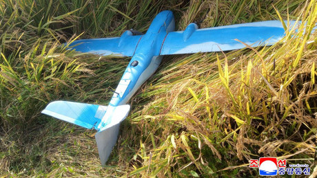 Südkorea: Drohnenflüge über Nordkorea führen zu Landesverrats-Anklage