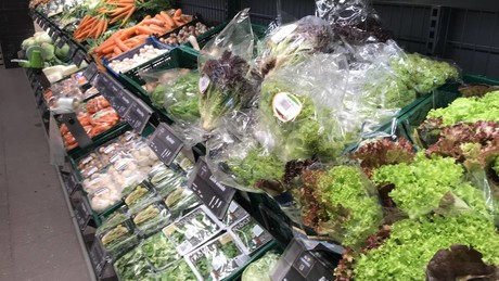 Steuer-Streichung für Lebensmittel: Koalition will armen Menschen helfen – aber wer zahlt die Zeche?