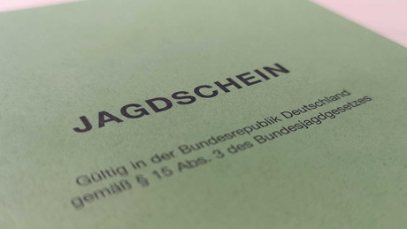 Waffen weg! AfD-Fans droht der Verlust ihres Waffenscheins