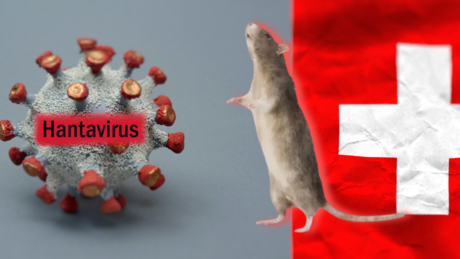 Hantavirus-Alarm auf Kreuzfahrtschiff! Kanaren verweigern Einlass nach Schweizer Positivtest