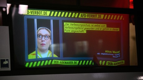 Schock an Schule: Schüler inszenieren Verhaftung von AfD-Chefin Weidel