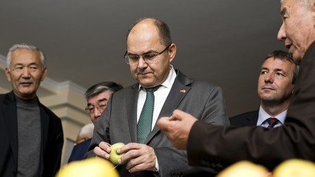 Schmidt muss gehen! CSU-Politiker verliert Posten als Hoher Repräsentant in Bosnien