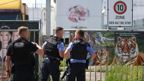 Tiger-Alarm in Leipzig! Polizei muss Raubkatze erschießen