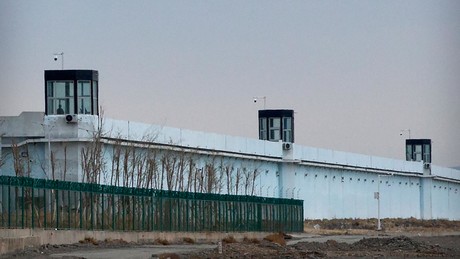 Schockierender Rekord: Amnesty International meldet höchste Hinrichtungszahlen seit 44 Jahren