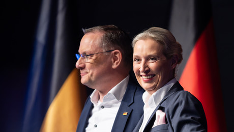 AfD-Rekord! Umfrage-Schock bei knapp 30 Prozent