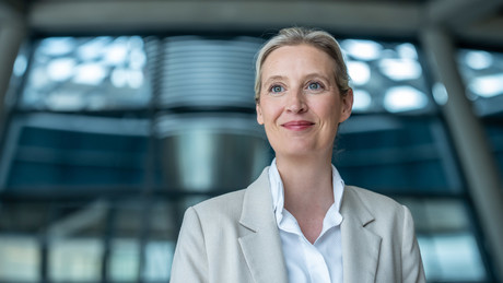 Sensation bei INSA: Weidel stürzt Söder vom Thron – AfD feiert Rekordhoch