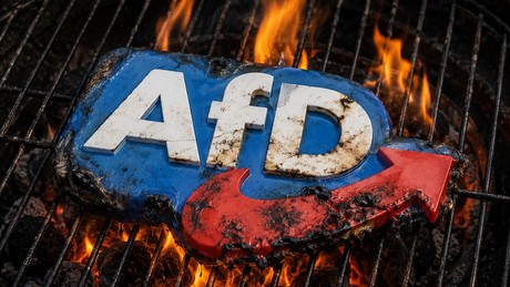 Skandal-Aufruf zur Landtagswahl: AfD-Gegner sollen sich gezielt in Halle ummelden!