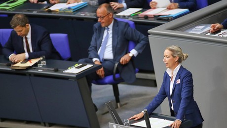 AfD rast an Union und SPD vorbei: Umfrage-Schock! Auch die FDP kämpft sich über die 5%-Hürde