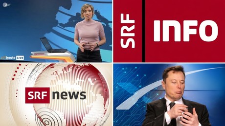 Skandalöse Unterstellung des SRF: Elon Musk soll zu Gewalt in Belfast aufgerufen haben!