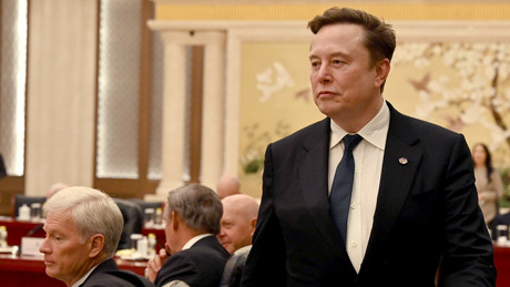 Musk: „Bürger direkt aus Staatskasse bezahlen“ – Revolutionäre Idee oder Populismus?