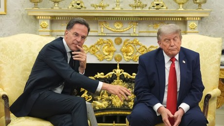 Trump vernichtet EU-Spitze! „Enttäuscht von Deutschland“ – Selenskij bekommt eine Ehrenerklärung