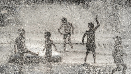 Dürre-Alarm in München! Pools, Rasengießen und Springbrunnen ab sofort tabu
