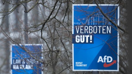 Schock im Wahlkampf! AfD-Politiker zittern vor Verfassungs-Check