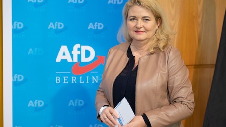 Sensations-Umfrage in Berlin: AfD erstmals auf Platz eins – das bedeutet das für die Hauptstadt!