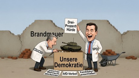 Schock-Plan für die Bundestagswahl: Drei-Prozent-Hürde statt Fünf-Prozent-Hürde soll kleine Parteien retten!