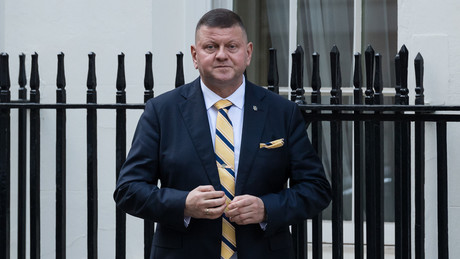 Ex-Armeechef Saluschny: „Die Ukraine wird niemals Mitglied der NATO werden“ – Ein Abgesang auf alle Hoffnungen?