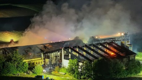 Feuerinferno in Bayern: 1.600 Schweine finden in Flammen den Tod