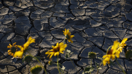 **Der nächste Weltkrieg wird um Wasser geführt – nicht um Öl!**