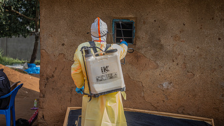 Ebola-Alarm im Kongo: Droht eine neue, gefährlichere Virus-Mutation?