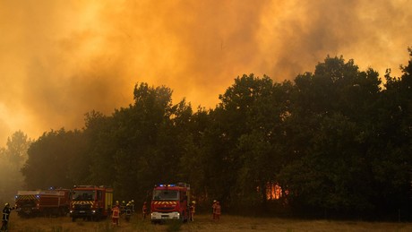 Frankreich im Flammen-Alarm: 420 Festnahmen bei Waldbrand-Eskalation!