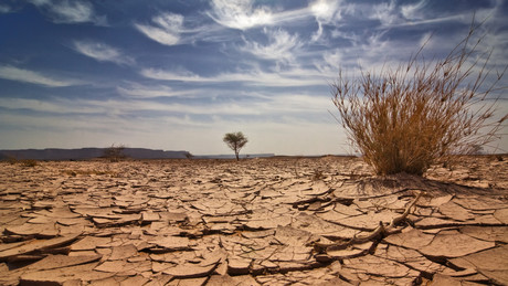 El Niño-Alarm im südlichen Afrika: Steht eine humanitäre Katastrophe bevor?