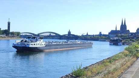 Dürre-Albtraum 1540: Der Rhein war zu Fuß überquerbar – und heute droht uns das gleiche Schicksal?