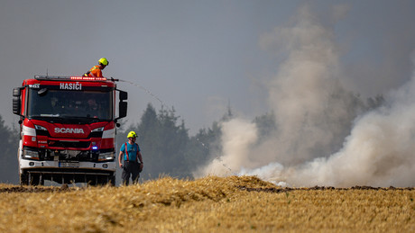 Dürre-Katastrophe in Tschechien: Ernte-Einbruch kostet Landwirte fast eine Milliarde Dollar