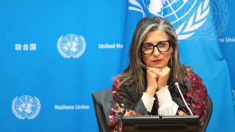 UN-Expertin schlägt Alarm: Friedenstruppen für Palästina gefordert – Eskalation stoppen!