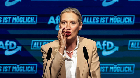 AfD lernt von der FPÖ: Weidels geheime Rezepte für den Machtübernahme in Wien!