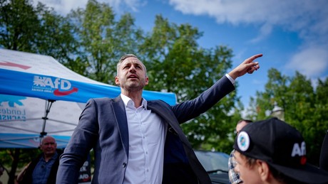 Politico enthüllt: Von „chinesischer Mauer“ bis „Nuklearoption“ – Die radikalen Szenarien im Umgang mit der AfD