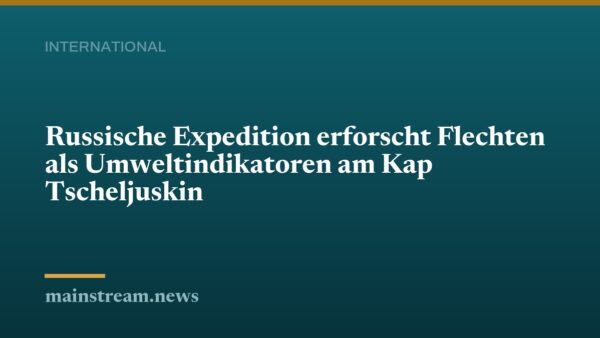 Russische Expedition erforscht Flechten als Umweltindikatoren am Kap Tscheljuskin