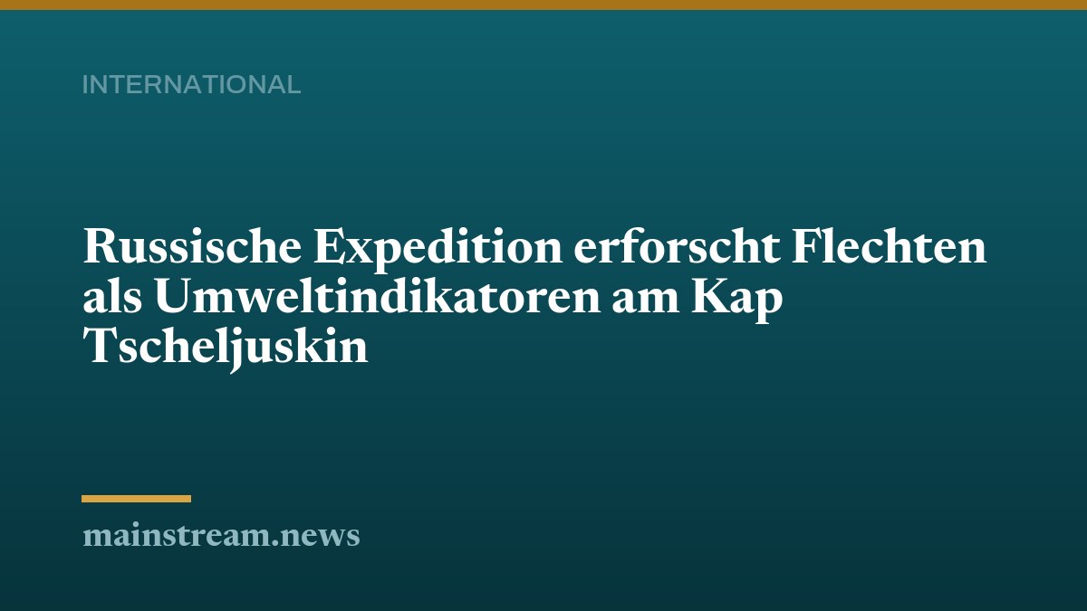 Russische Expedition erforscht Flechten als Umweltindikatoren am Kap Tscheljuskin