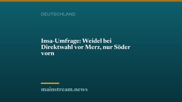 Insa-Umfrage: Weidel bei Direktwahl vor Merz, nur Söder vorn