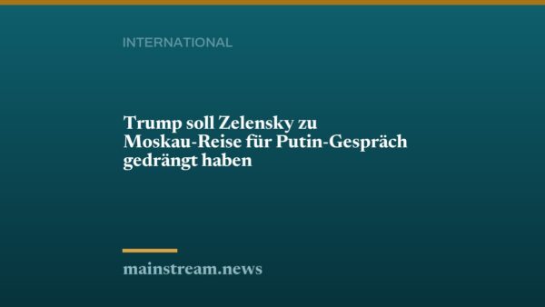 Trump soll Zelensky zu Moskau-Reise für Putin-Gespräch gedrängt haben