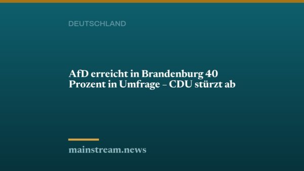 AfD erreicht in Brandenburg 40 Prozent in Umfrage – CDU stürzt ab