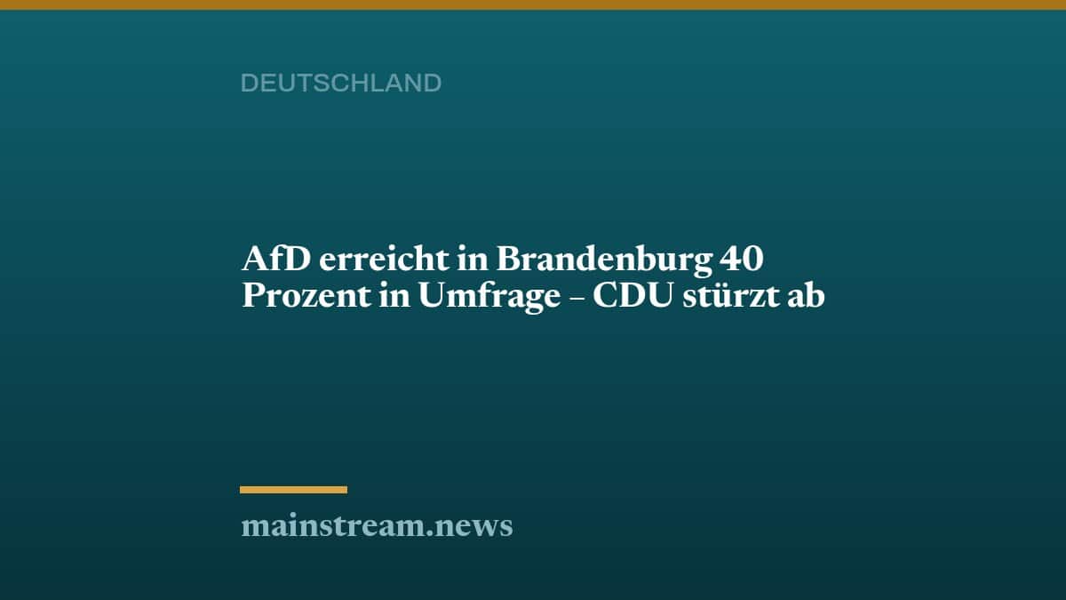 AfD erreicht in Brandenburg 40 Prozent in Umfrage – CDU stürzt ab