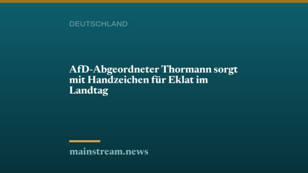 AfD-Abgeordneter Thormann sorgt mit Handzeichen für Eklat im Landtag