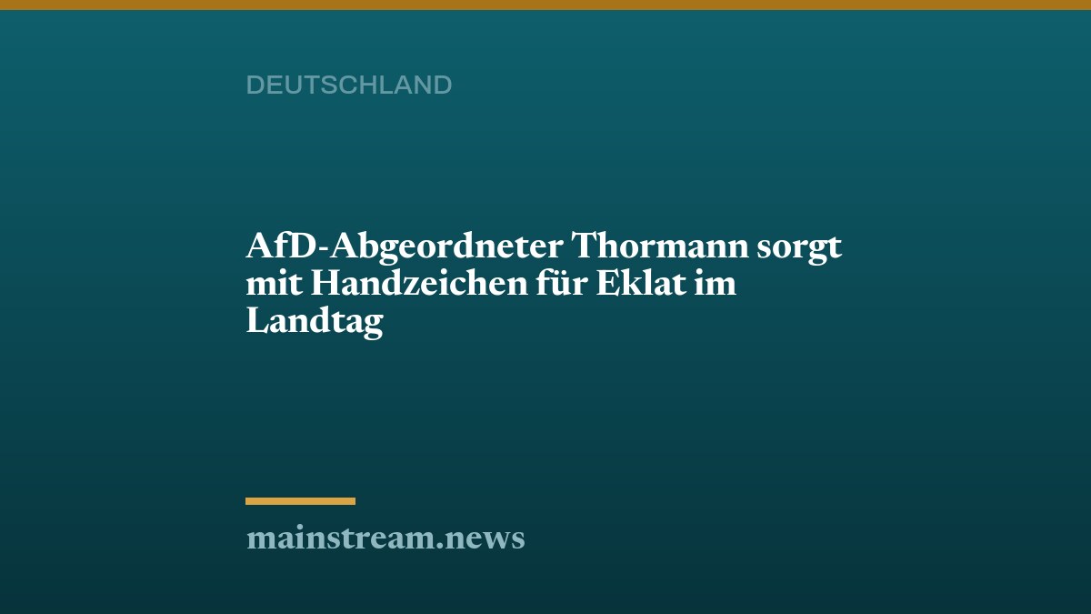 AfD-Abgeordneter Thormann sorgt mit Handzeichen für Eklat im Landtag