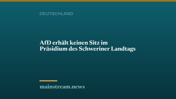 AfD erhält keinen Sitz im Präsidium des Schweriner Landtags