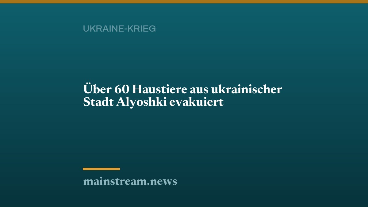 Über 60 Haustiere aus ukrainischer Stadt Alyoshki evakuiert